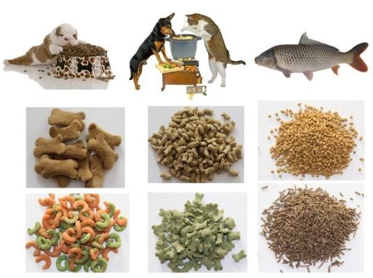 3000 KG Extruder τροφής ψαριών από ανοξείδωτο χάλυβα 201 304 για βελτιωμένη μετατροπή τροφής