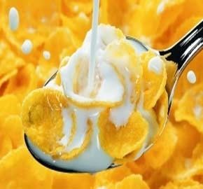 Κεντρικά εξαρτήματα αντλία καλαμπόκι πρωινό σιτηρά μηχανή παρασκευή εξατομικευμένη