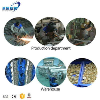 120-150/250-300/500-800/1000-1200kg/h Μηχανή κατασκευής σφαιρίων τροφής ψαριών από ανοξείδωτο χάλυβα