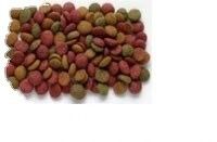 Δίδυμη βίδα εκχυλίστης εξοπλισμός ξήρανσης τροφίμων για κατοικίδια ζώα γραμμή επεξεργασίας για τις απαιτήσεις των πελατών