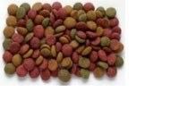 Σούμπωση τροφής για κατοικίδια ζώα τροφή ψαριών Πελετό κατασκευή μηχανή διπλής βίδες extruder για το εργοστάσιο πελετών