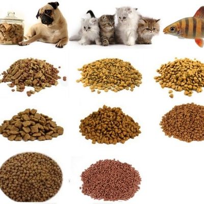 Σημαντική συνθήκη κινητήρα Siemens Σημαντική συνθήκη κινητήρα Siemens Σημαντική συνθήκη κινητήρα Siemens