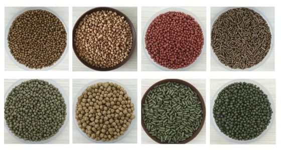 Εταιρεία παραγωγής μηχανών εξάτμισης τροφής ψαριών