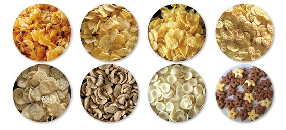 Τεχνική μηχανή για την παραγωγή μακαρόνων και ζυμαρικών για την κατασκευή εργοστασίου Δυνατότητα 3000 KG